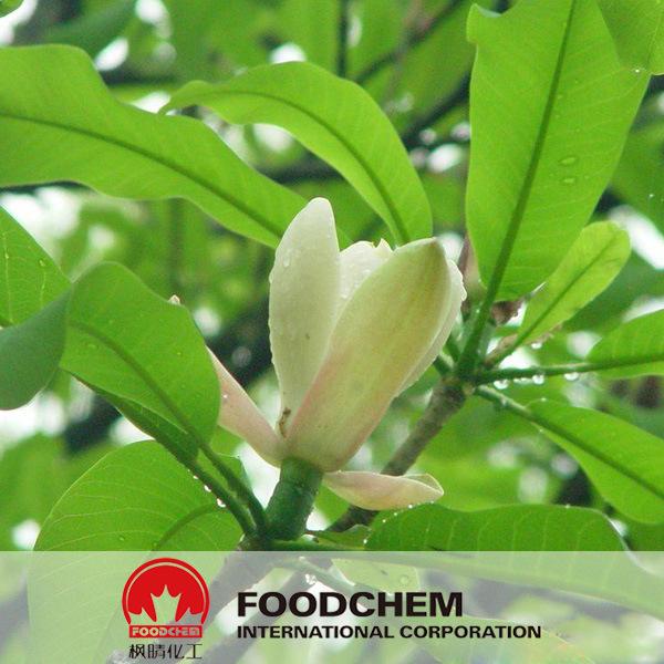 Magnolia Extract